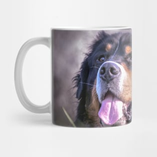 Bernie gift , dog lover, mountain dogs Mug